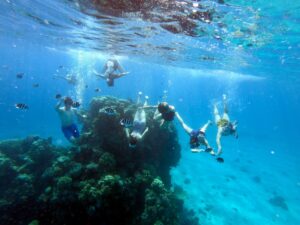 Brooke Ryser - Eilat Coral Reef Nature Reserve, Red Sea