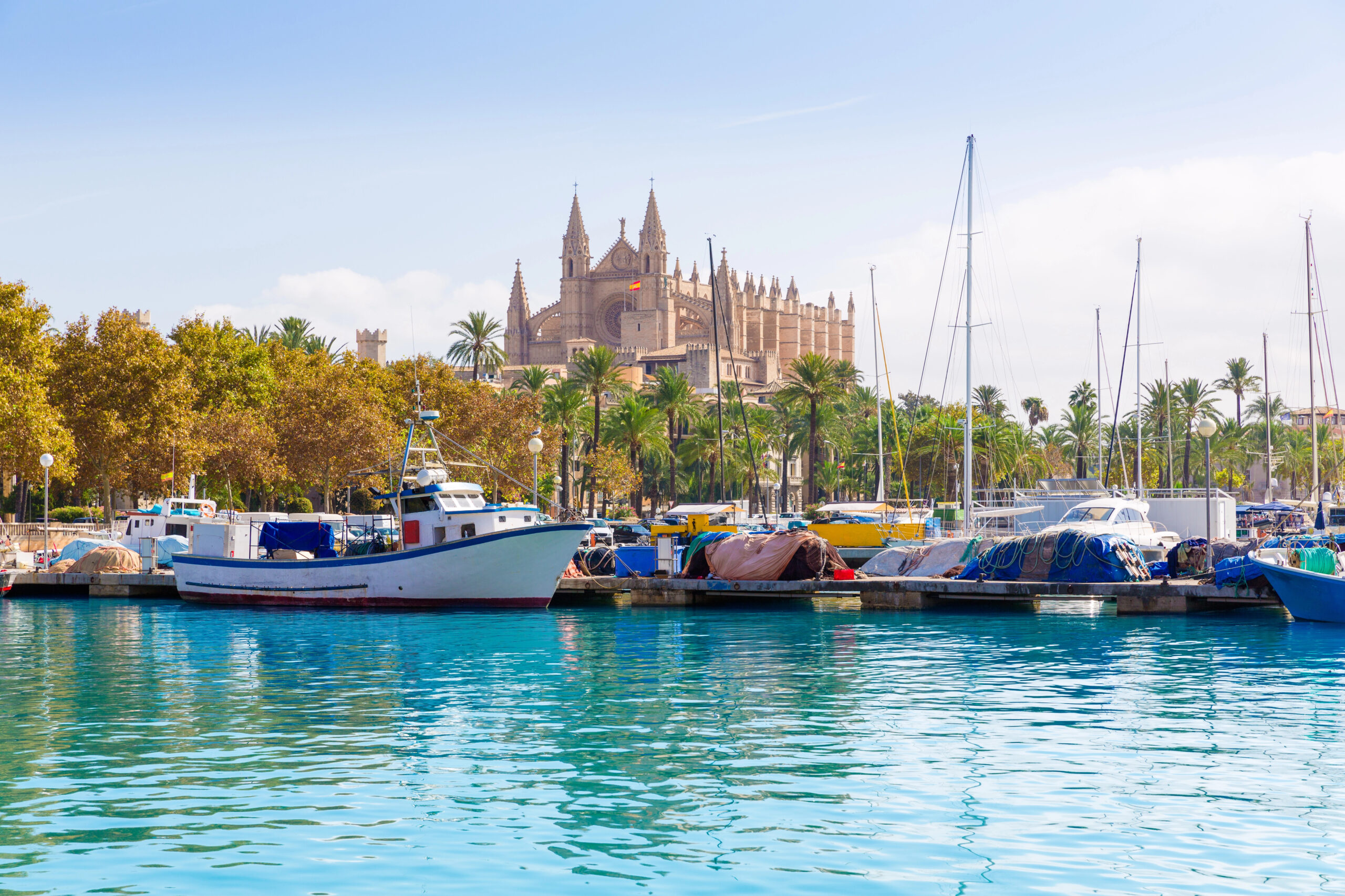 Palma De Mallorca Port Marina Majorca Cathedral visiting Mallorca